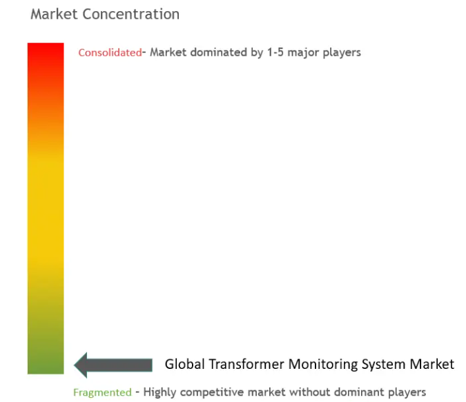 Transformer Monitoring System Market Concentration Transformer Monitoring System Market Concentration